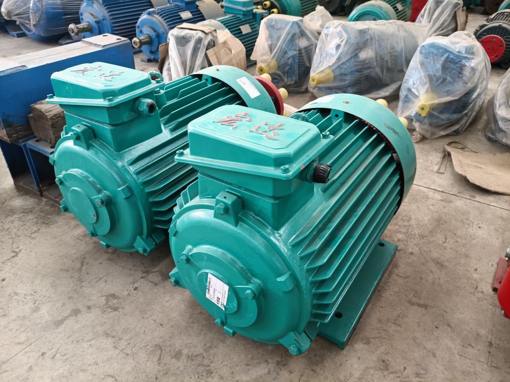 湛江起重電機(jī)、單雙梁橋門(mén)式起重機(jī)專用電機(jī)廠家供貨